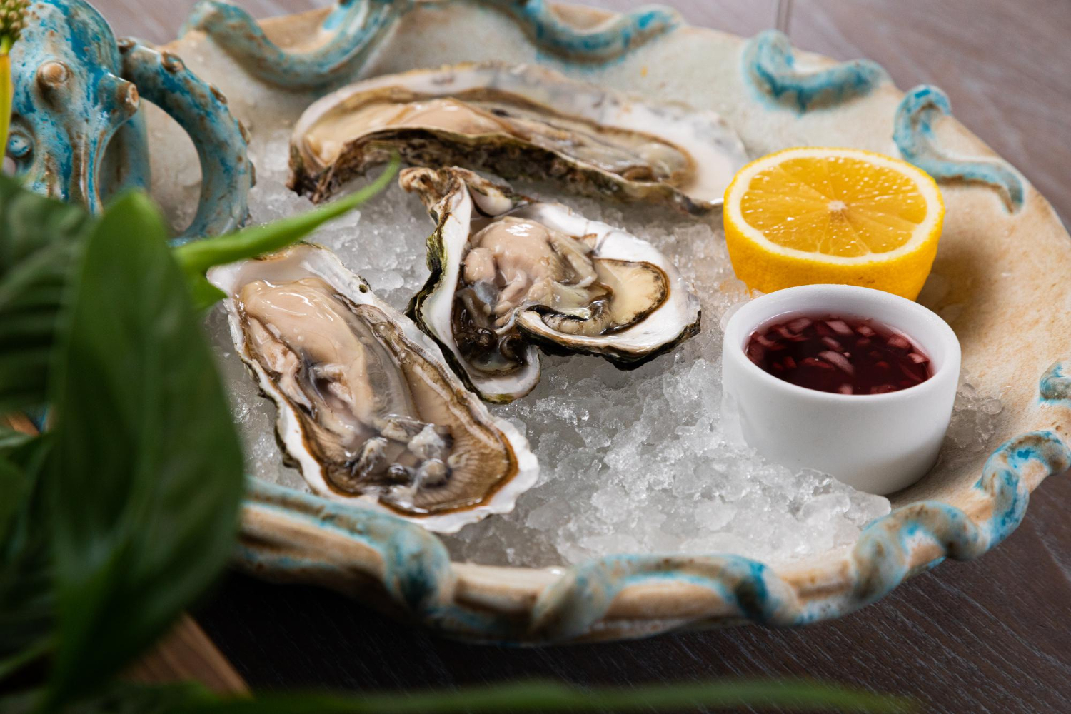 Top 5 Places to Get Oysters for Less This Summer