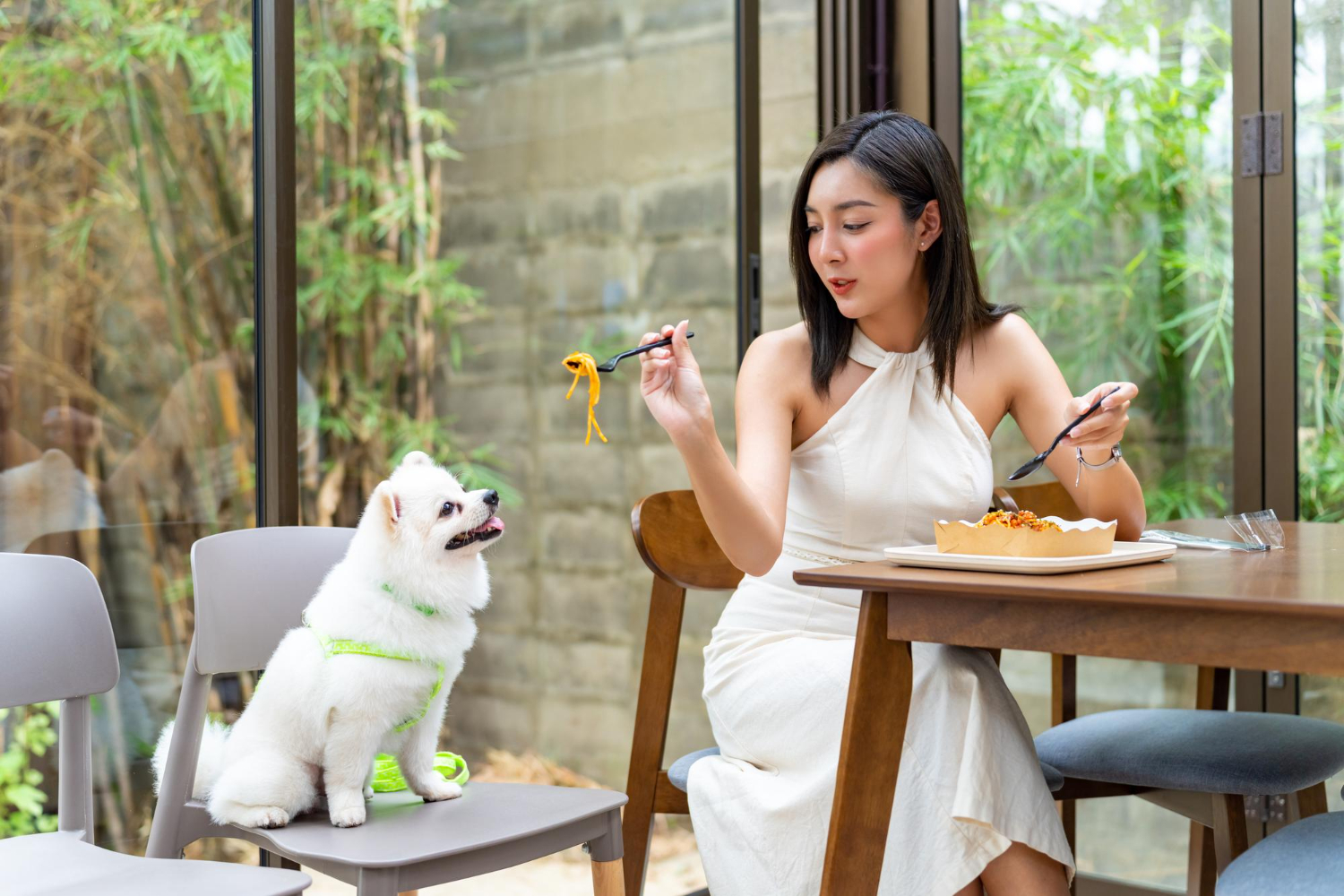 Top 5 Pet-Friendly Cafes In Dubai You Cam Visit For Your Super Dog